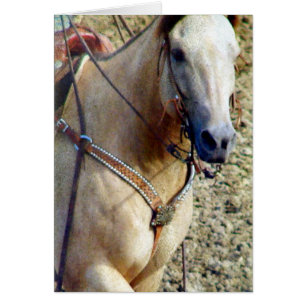 Cheval de rodéo Buckskin