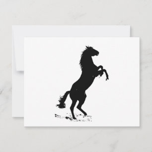 Cheval d'élevage