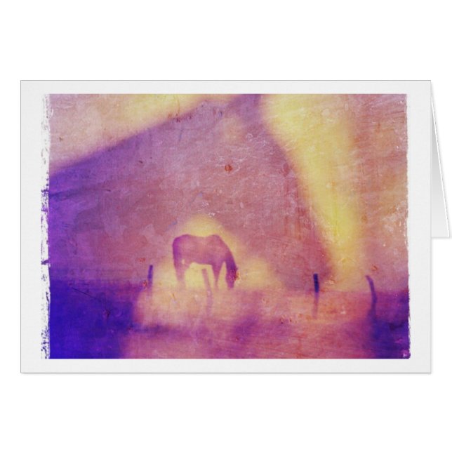 Cheval Dreams Toutes Les Occasions (Devant horizontal)