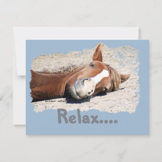 Cheval drôle : Relax (Devant)