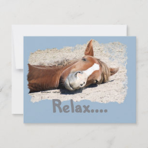 Cheval drôle : Relax