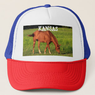 Cheval du Kansas dans un Casquette de camions de p