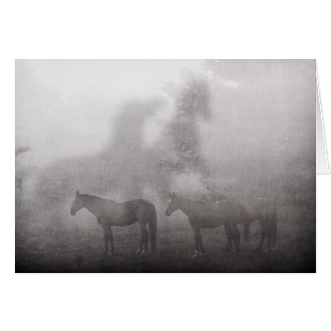 Cheval du Matin (Devant Horizontal)