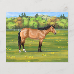 Cheval du Quartier des Dun Buckskin