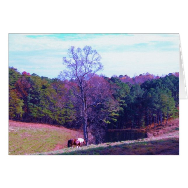 Cheval éloigné dans un champ violet (Devant horizontal)