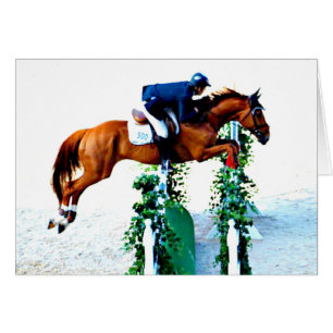 Cheval et cavalier dans l'anneau de pullover