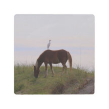 Cheval et cavalier dans les dunes