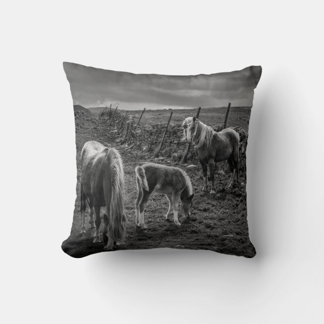 Cheval et Coussin de Pony (Recto)