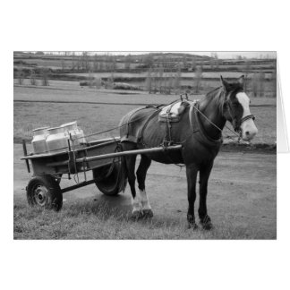 Cheval et Panier