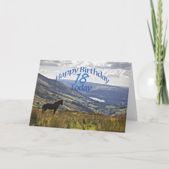 Cheval et paysage 18ème anniversaire carte (Devant)