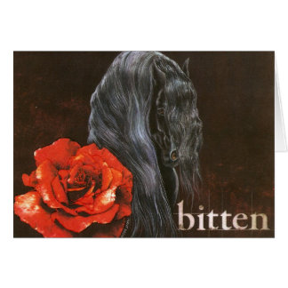 Cheval Frieisian "Bitten"
