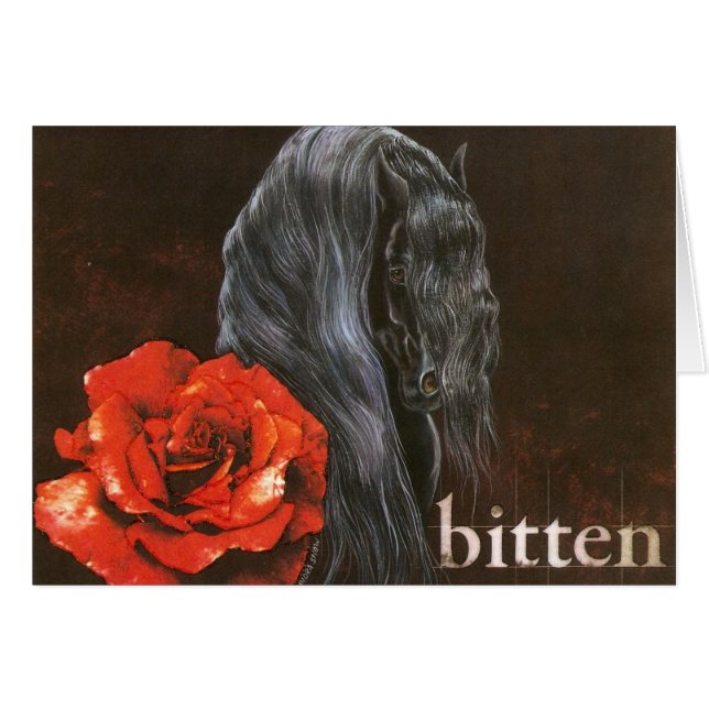 Cheval Frieisian "Bitten" (Devant horizontal)