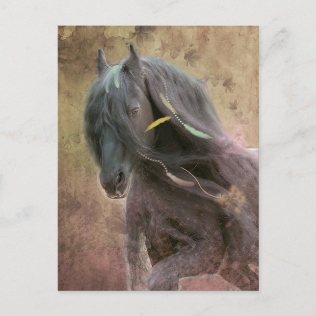 Cheval Frison Black Beauty - Carte postale (Devant)