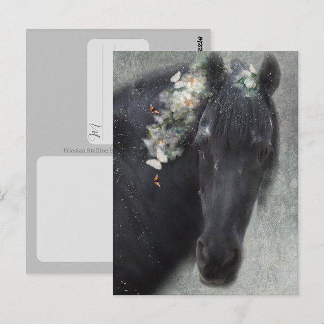 Cheval Frison - Carte postale (Devant / Derrière)