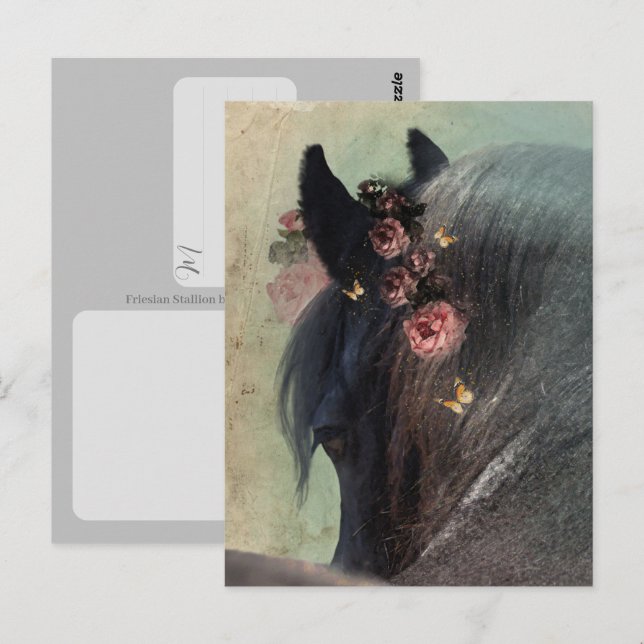 Cheval Frison - Carte postale (Devant / Derrière)