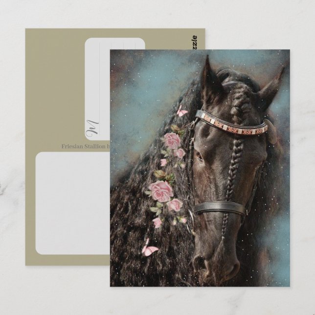 Cheval Frison - Carte postale (Devant / Derrière)
