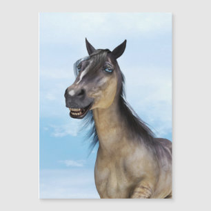 Cheval Grulla Souriant Heureux