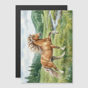 Cheval islandais Elska aquarelle