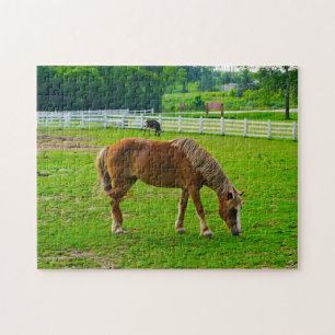 Cheval Jigsaw Puzzle