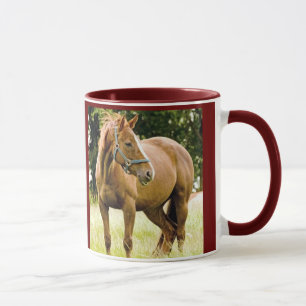Cheval (jument) dans la tasse de champ