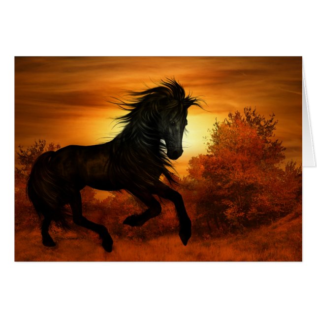 Cheval Lover Black Stallion Horse Blank (Devant Horizontal)
