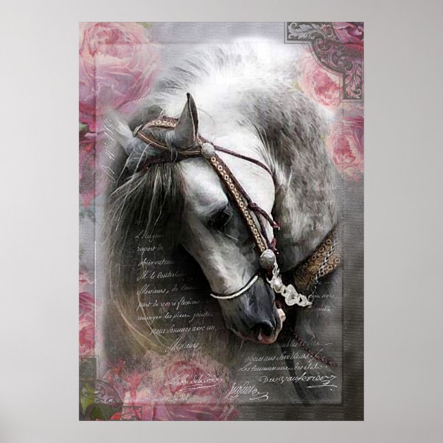 Cheval Lusitano - Poster (Devant)
