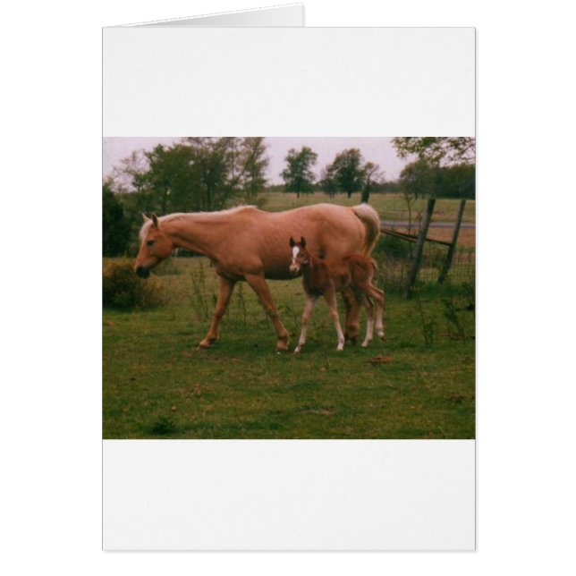 Cheval Moma et cheval bébé (Devant)