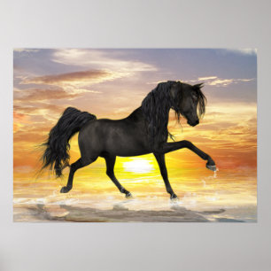 Cheval noir 28" x 20", Poster de valeur (Matte)
