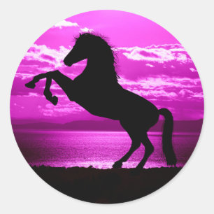 Cheval noir/ autocollants violets.