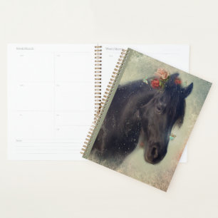 Cheval Noir Cheval Friesen - Calendrier, Planifica