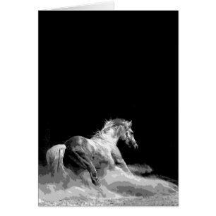 Cheval noir et blanc en action