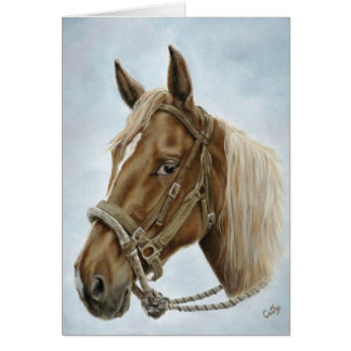 Cheval occidental de travail
