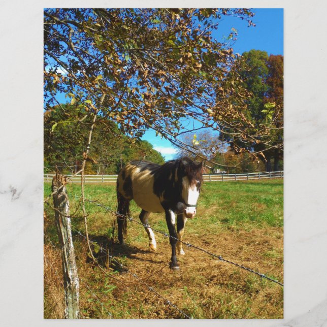 Cheval Peint, (Devant)