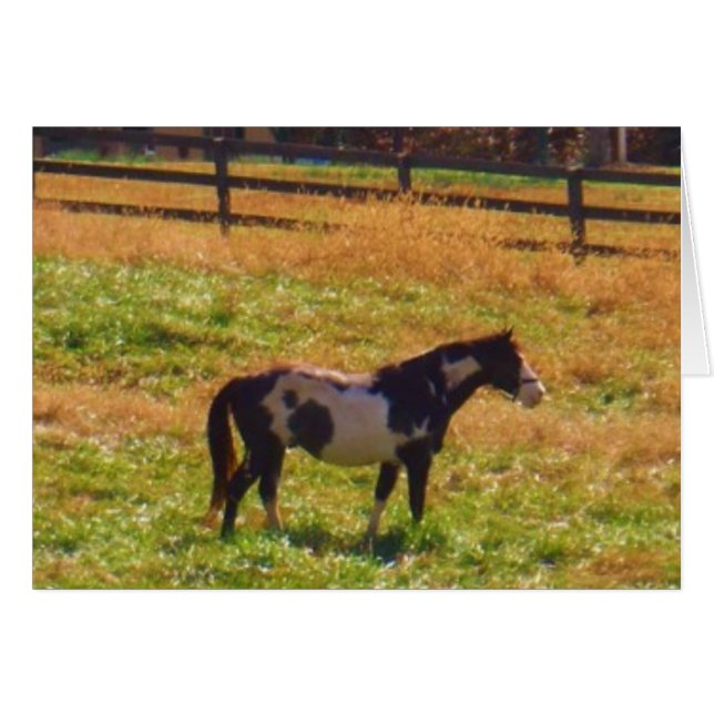 Cheval peint à distance (Devant horizontal)