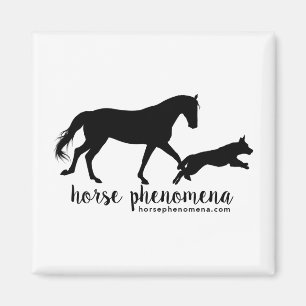 Cheval Phénomène Magnet