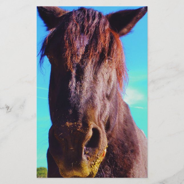 Cheval pourpre avec Bouche verte (Devant)