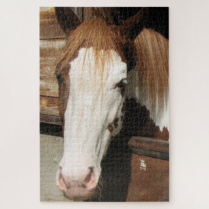 Cheval Puzzle