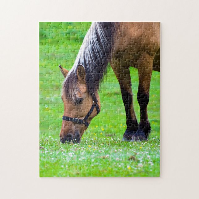 Cheval puzzle (Vertical)