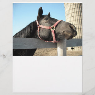 Cheval/Ranch/Grange
