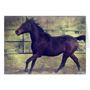 Cheval rond en stylo