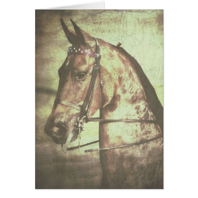 Cheval saddlebred (Devant)