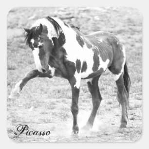 Cheval sauvage Photo Picasso Mustang Stickers