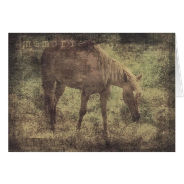 Cheval Souvenirs Grunge (Devant horizontal)