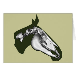 Cheval Squelette