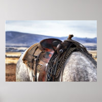 Cheval Stallion Saddle Photo Nature Mur Poster