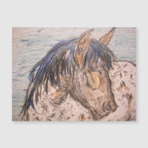 Cheval tacheté