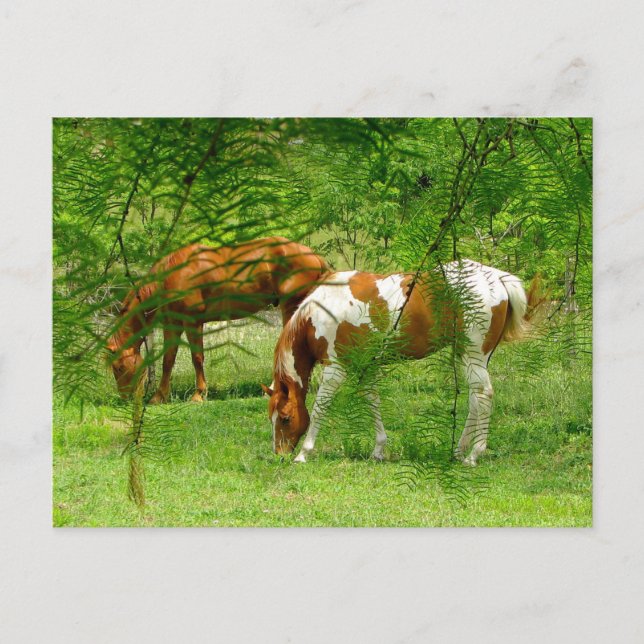 Cheval Thru Feuille Modèle de carte postale person (Devant)