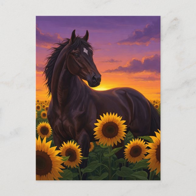 Cheval Tournesol au Coucher du Soleil Carte Postal (Devant)