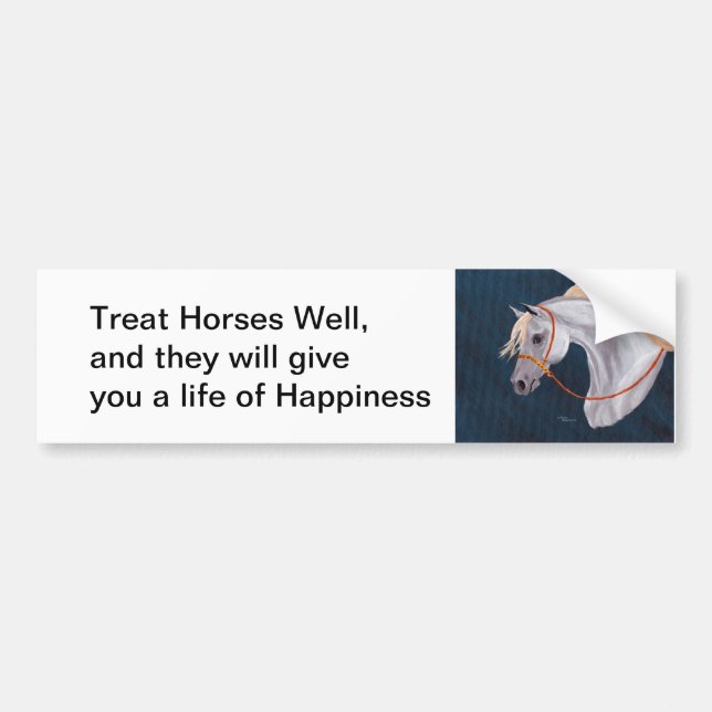 Cheval vie de bonheur Bumper Sticker (Devant)