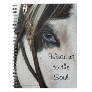 Cheval Windows au carnet ou au journal d'âme